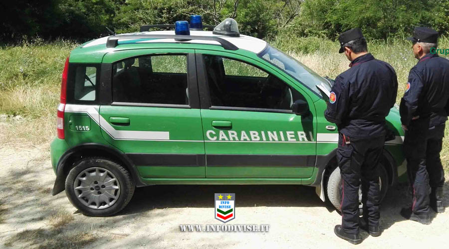 Accorpamento forestale carabinieri