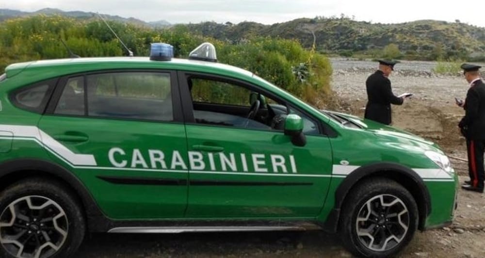 Suicidi tra i Carabinieri forestali. Nsc pone l’accento su capacità e preparazione degli ex funzionari e dirigenti forestali