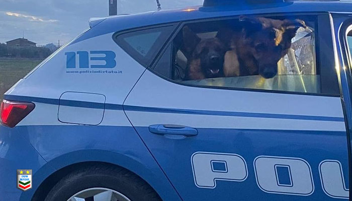 Polizia Salva cani