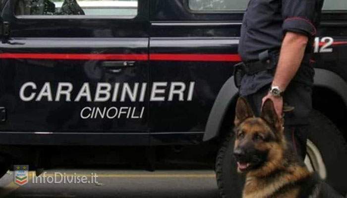Carabinieri cinofili cane