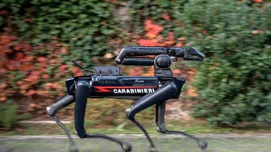 Carabinieri foto cane robot